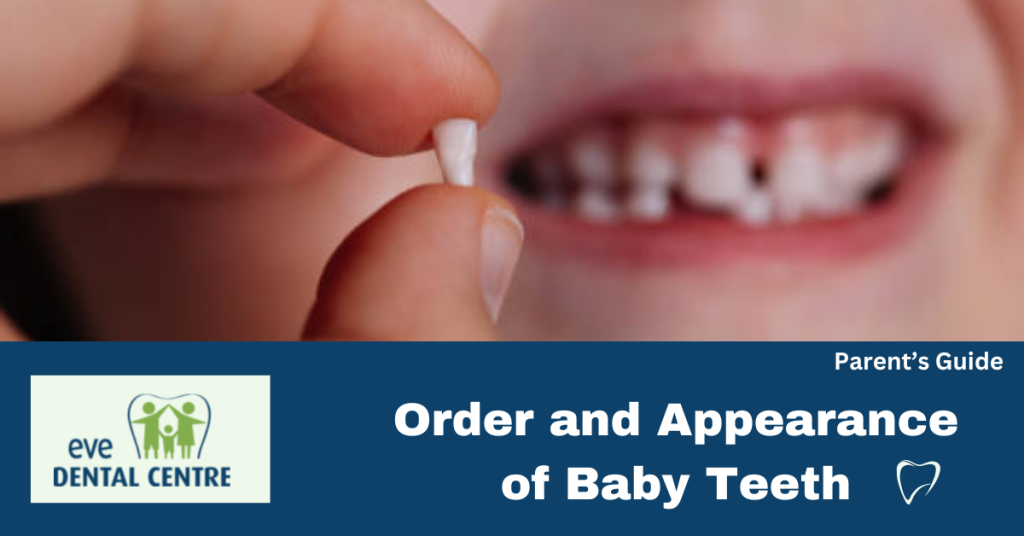 Order and Appearance of Baby Teeth